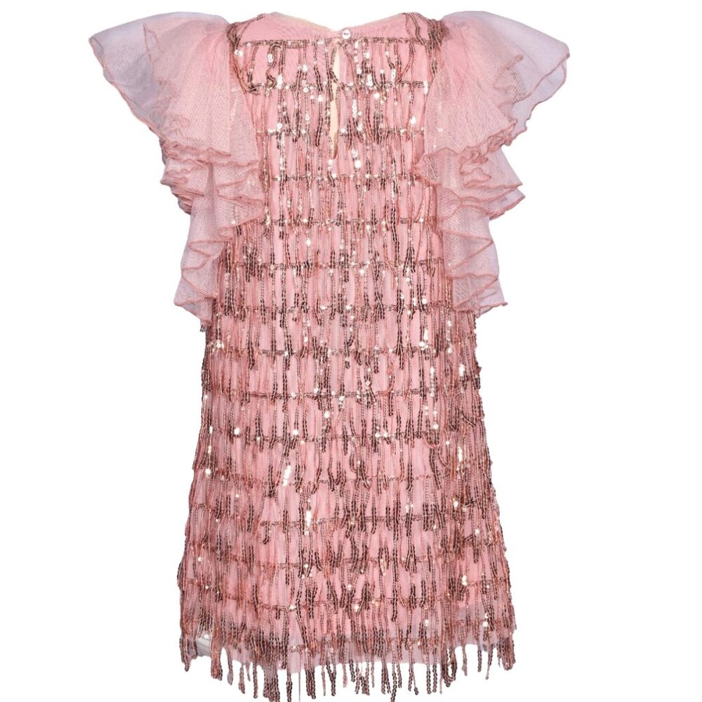 NEW Bonnie Jean Girls Size 7-16 Pink Dangling Sequins Chiffon Sleeve Dress - Picture 3 of 5